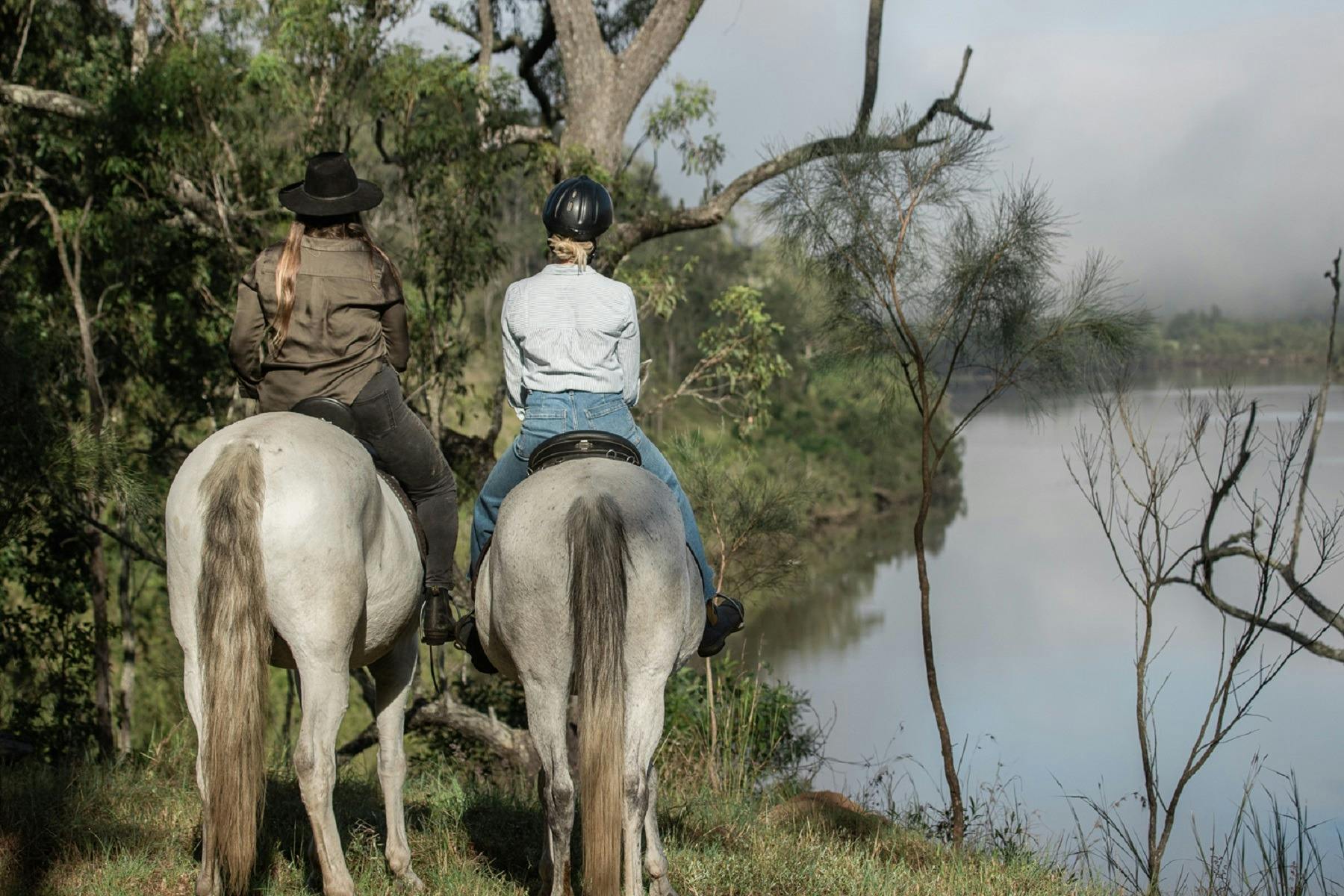 The Ranch on Clarence: Horse Riding and Equine Experiences