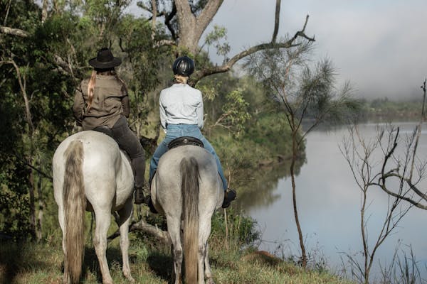 The Ranch on Clarence: Horse Riding and Equine Experiences