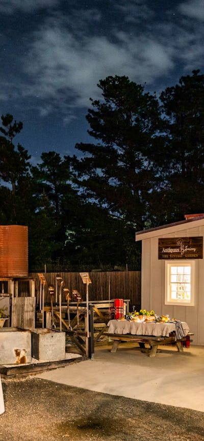 Outdoor area at Dirty Janes