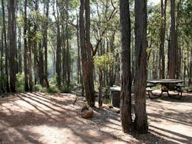 Perth Hills Discovery Centre Campground