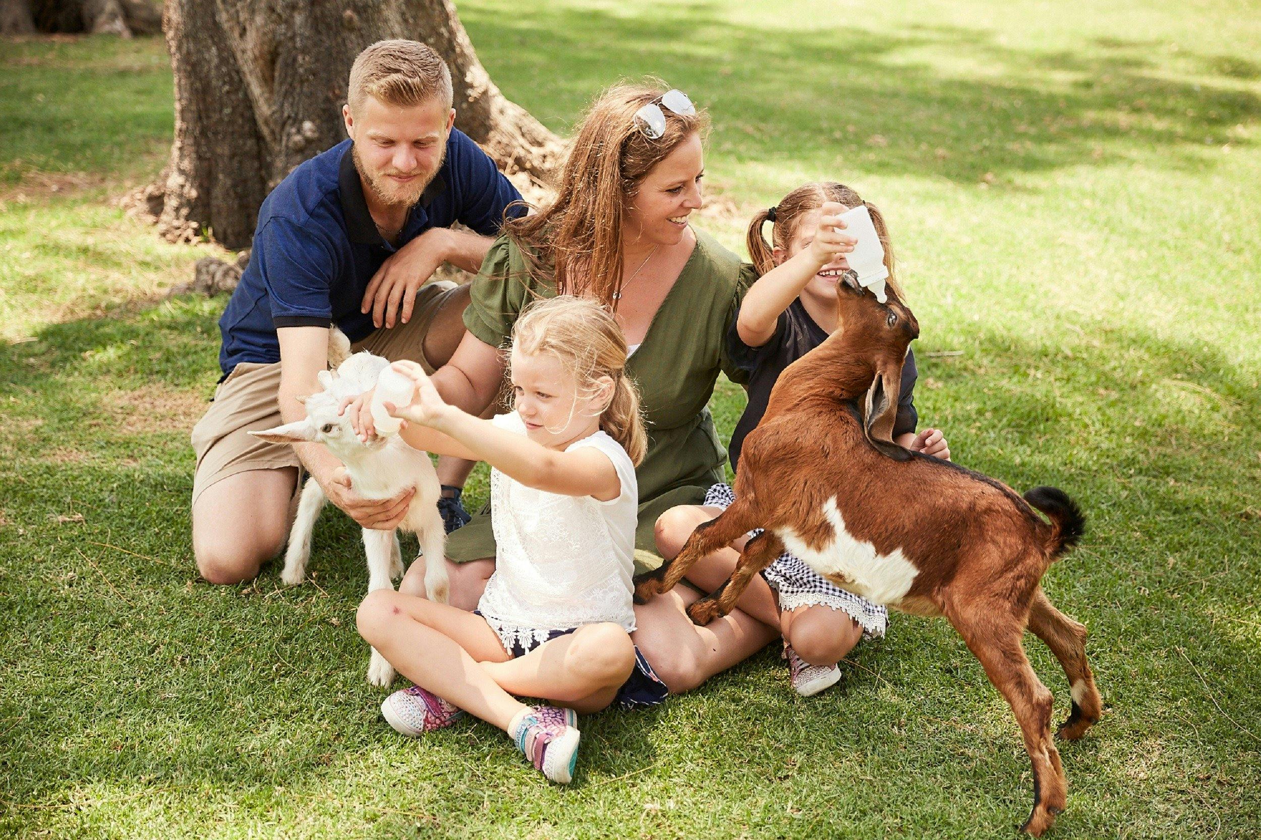 Oakvale Wildlife Park