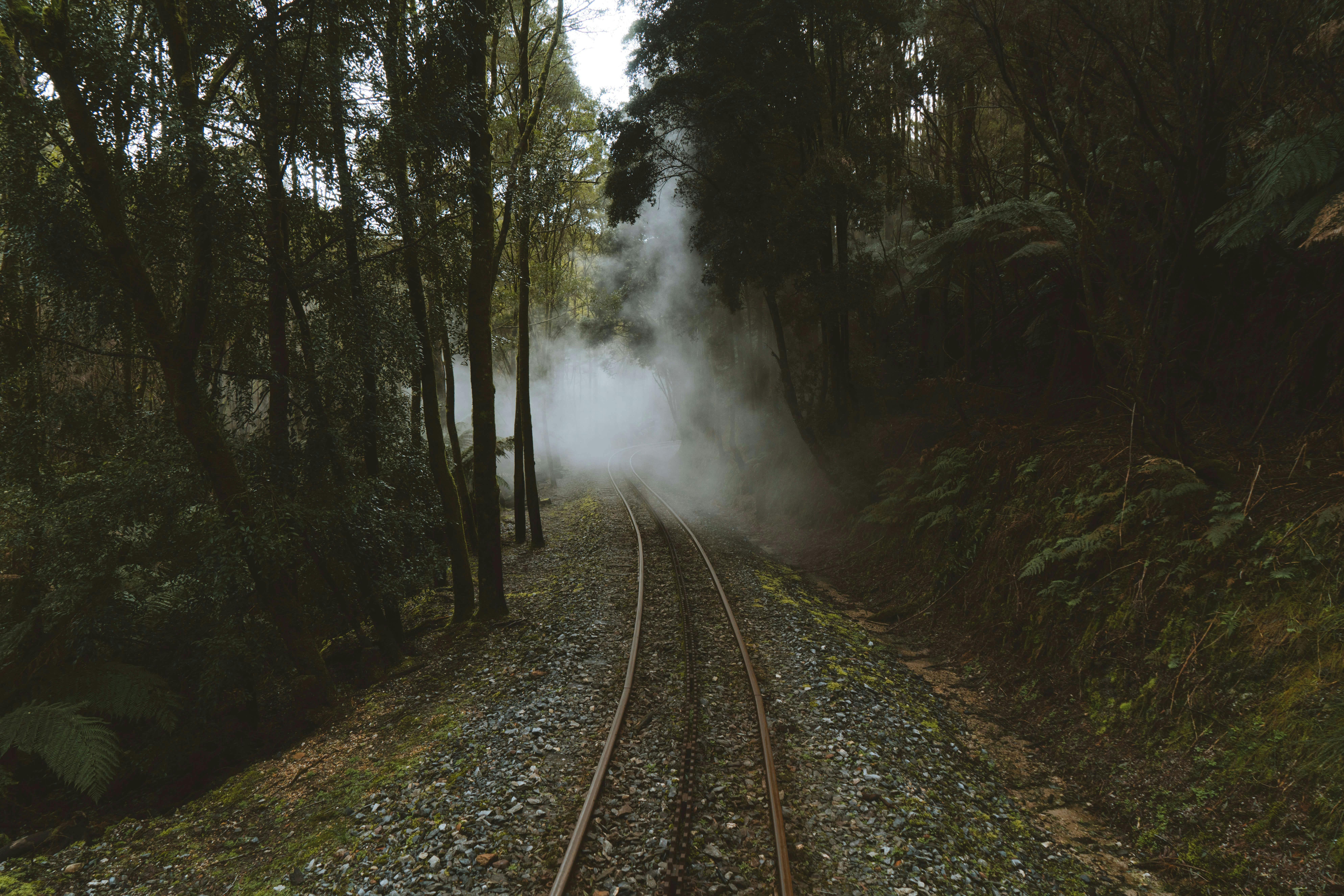 A railway with a rack rail running up the middle snakes through the rainforest