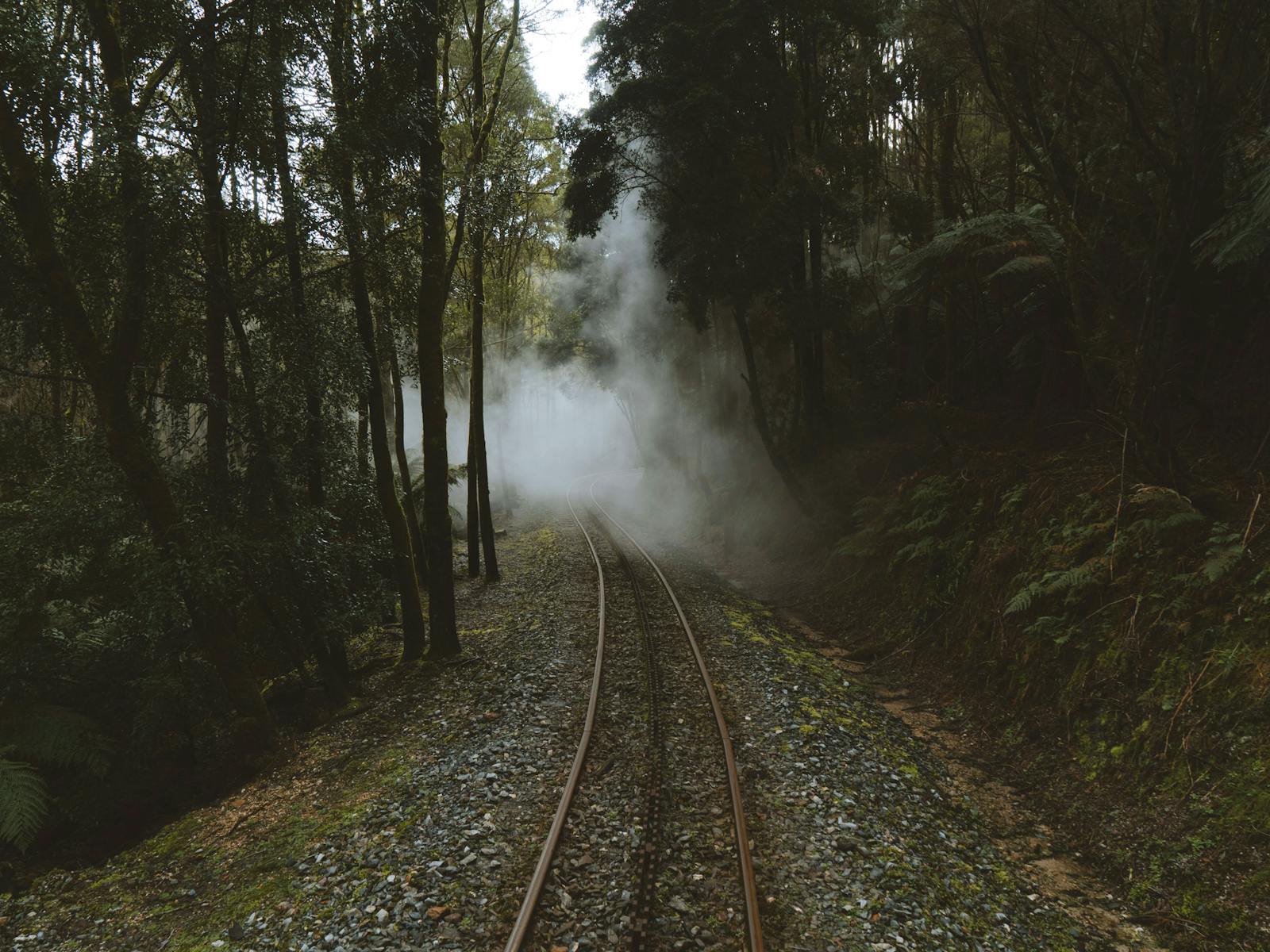 A railway with a rack rail running up the middle snakes through the rainforest