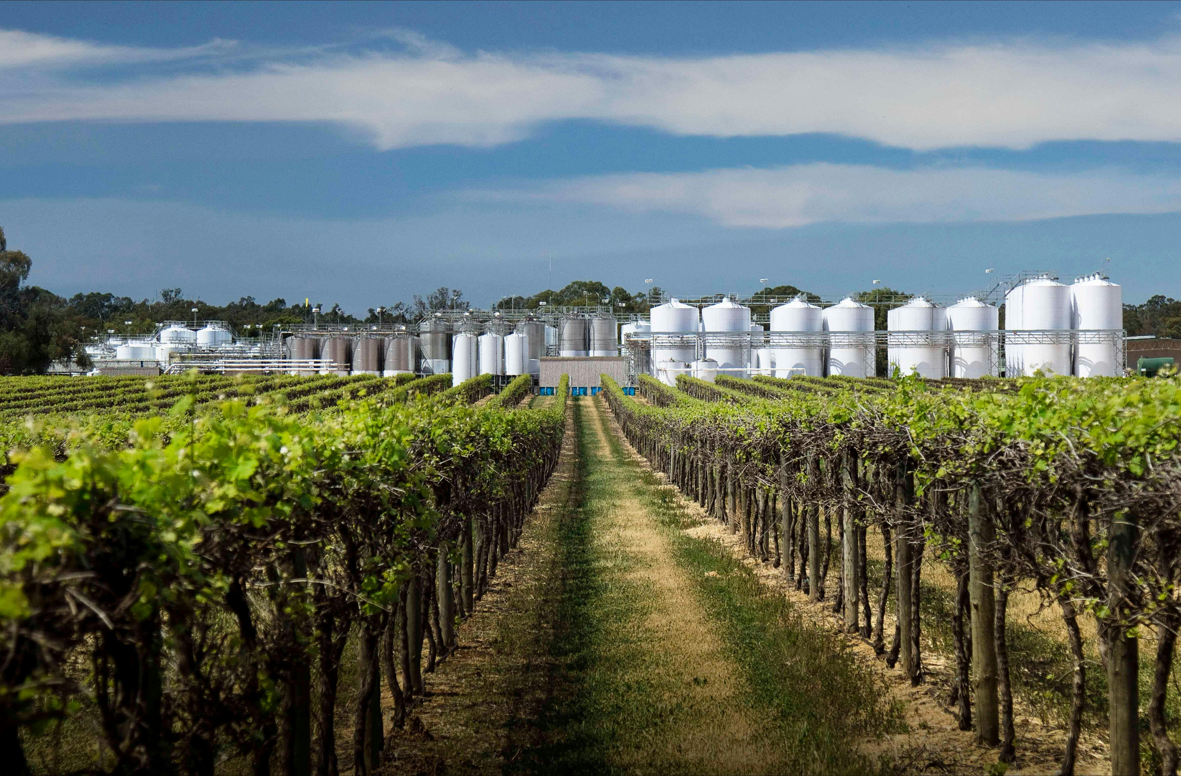 Back of winery West side