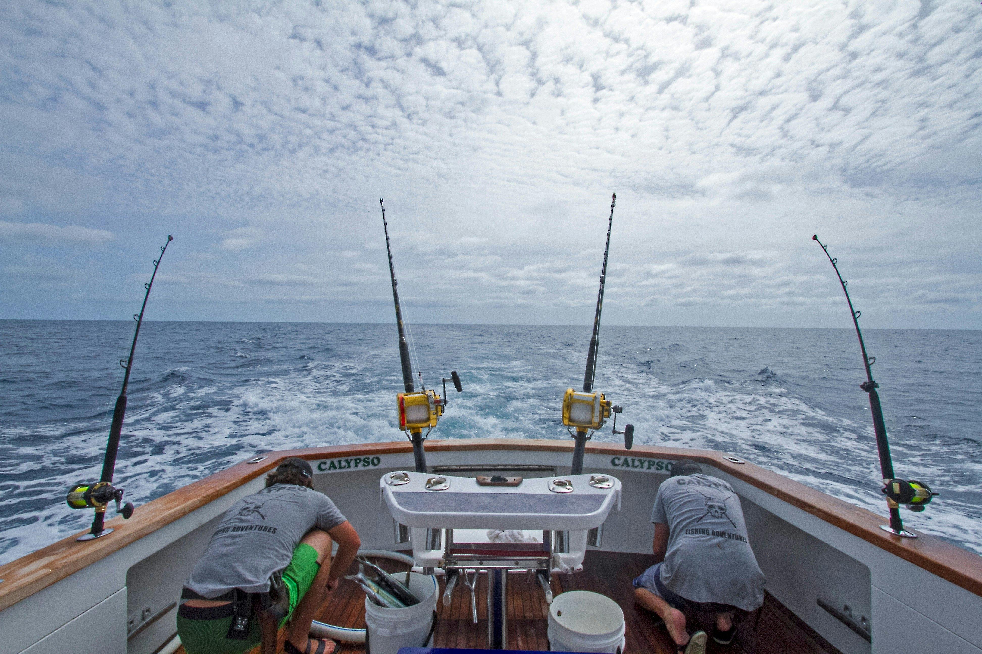 We can take you to the right places to fish for Marlin with all equipment supplied