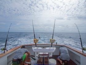 Calypso Fishing Adventures
