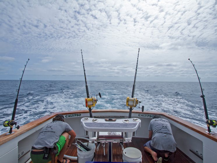We can take you to the right places to fish for Marlin with all equipment supplied