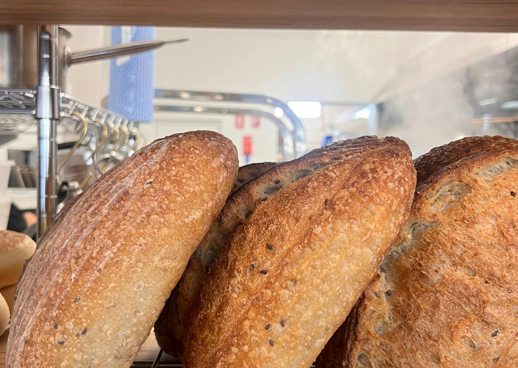 Sourdough Loaves