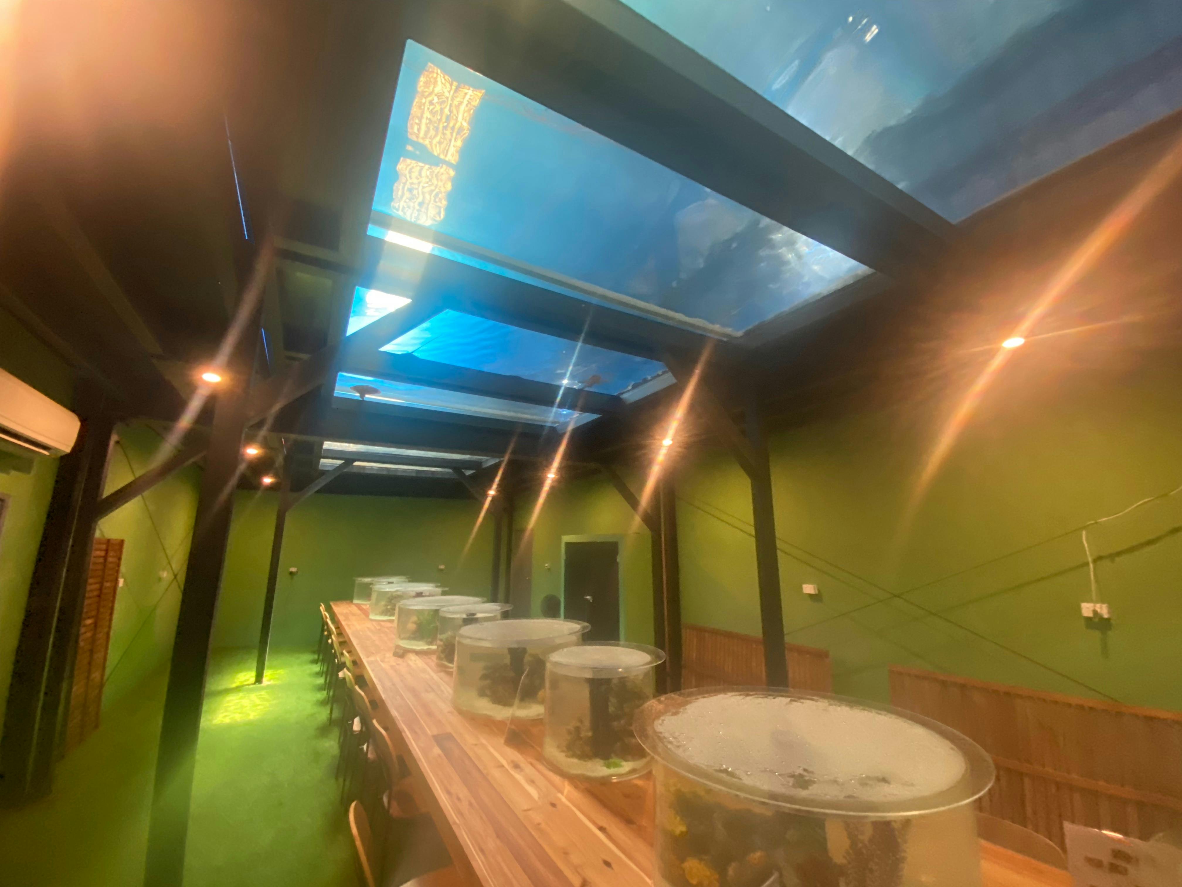 Tinnys Butterfly House and Underwater Cafe