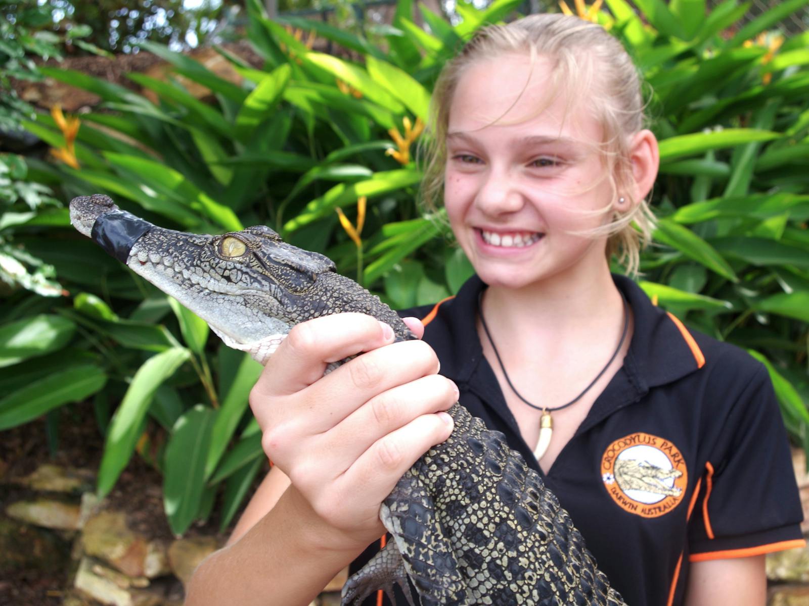 baby croc