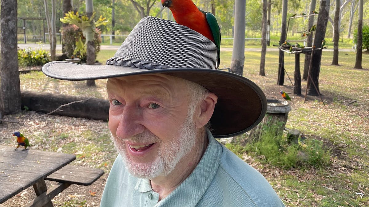 Experience the local birdlife that visit our park