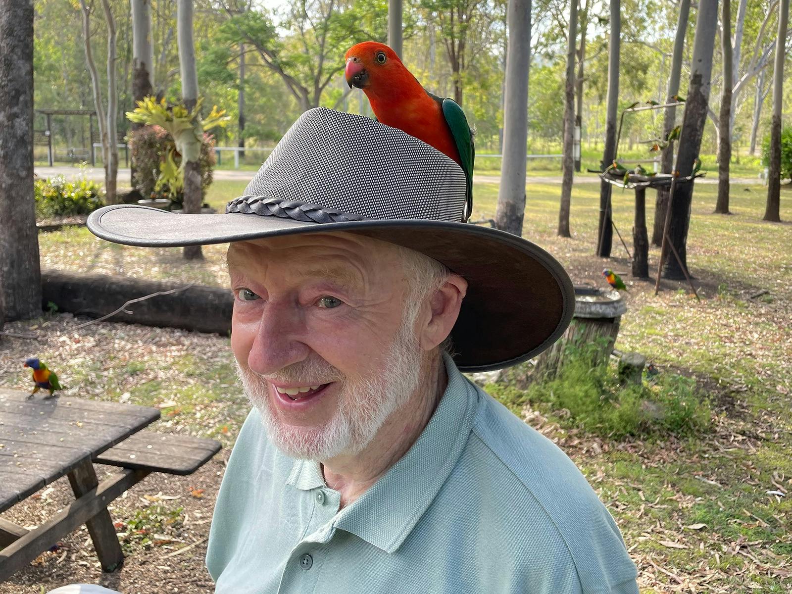 Experience the local birdlife that visit our park Experience the local birdlife that visit our park
