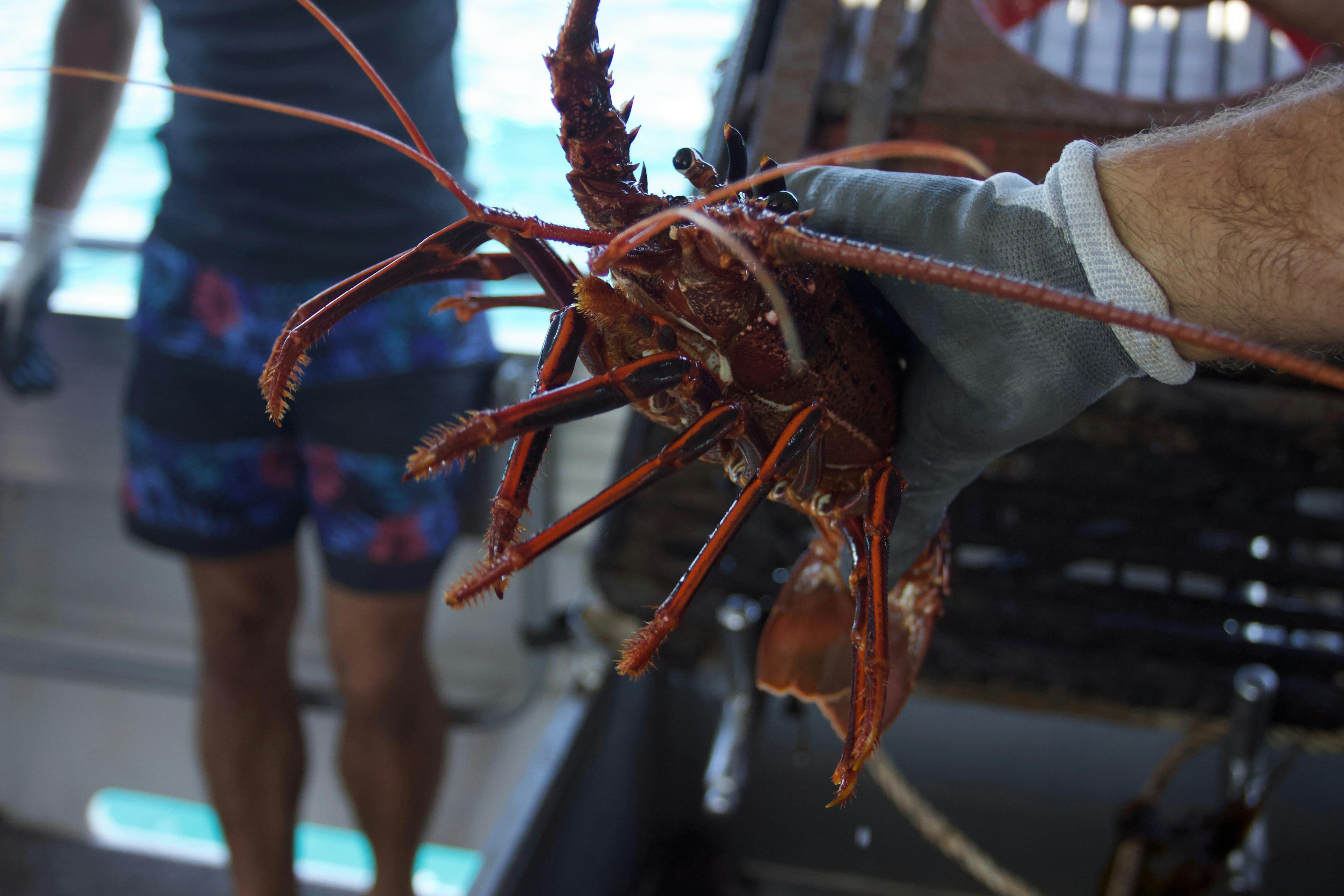 Reefwalker Charters, Kalbarri, Western Australia