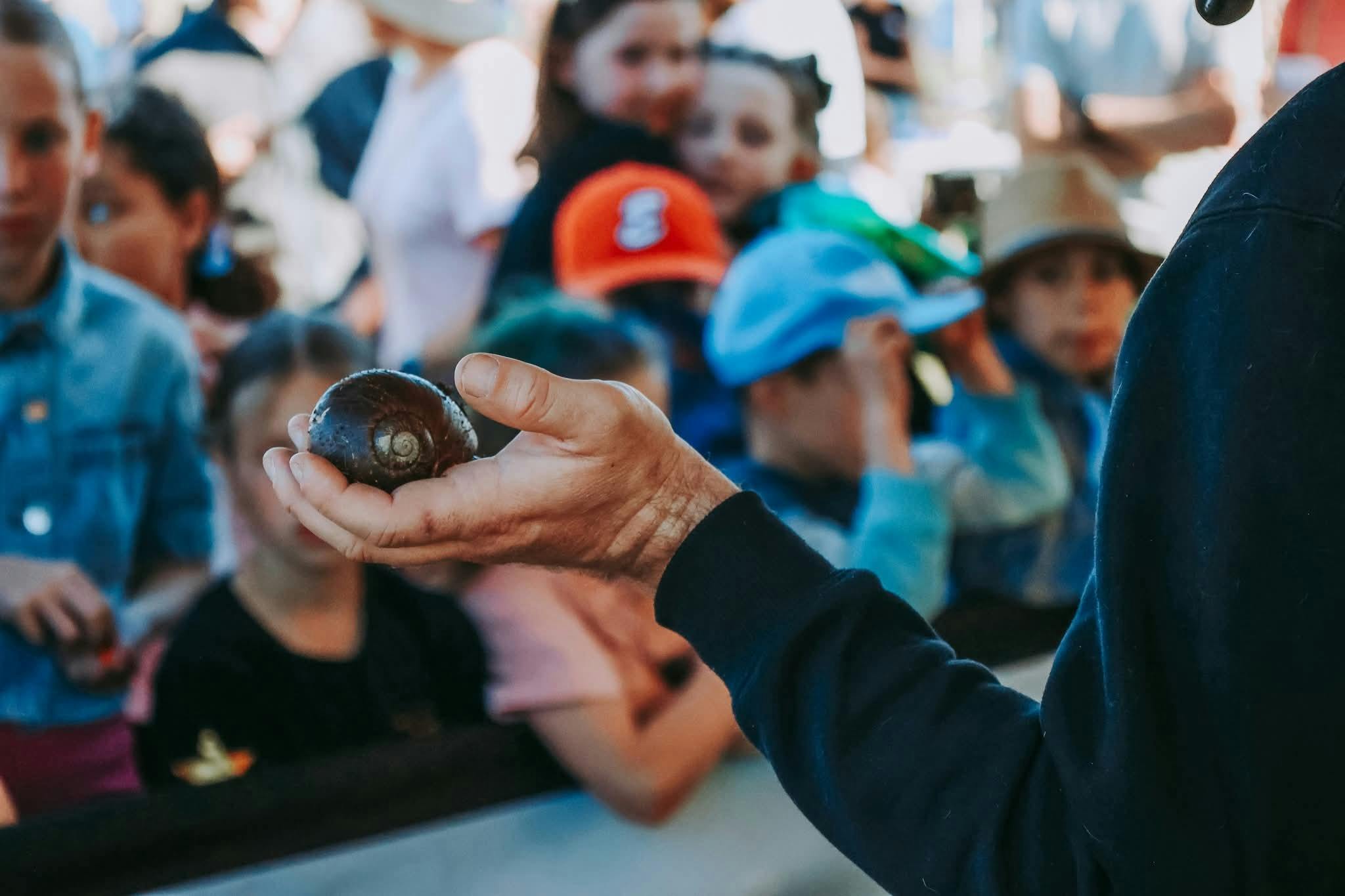 Come face to face with Australia's largest bugs.