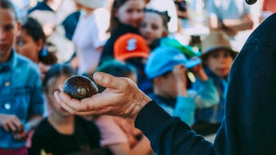 Come face to face with Australia's largest bugs.