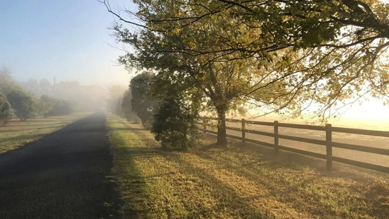 Richmond Lowlands