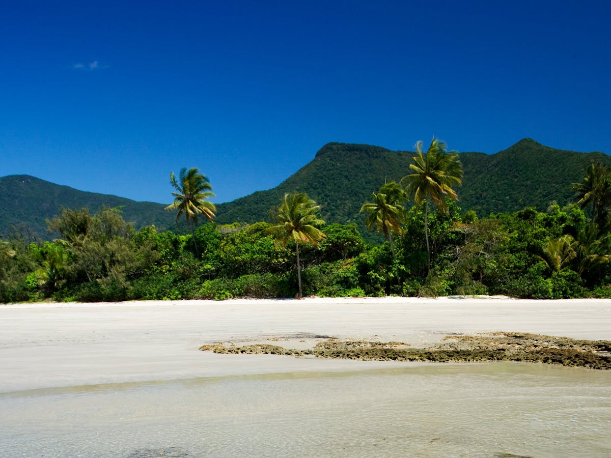 Cow Bay, Cape Tribulation Cow Bay, Cape Tribulation