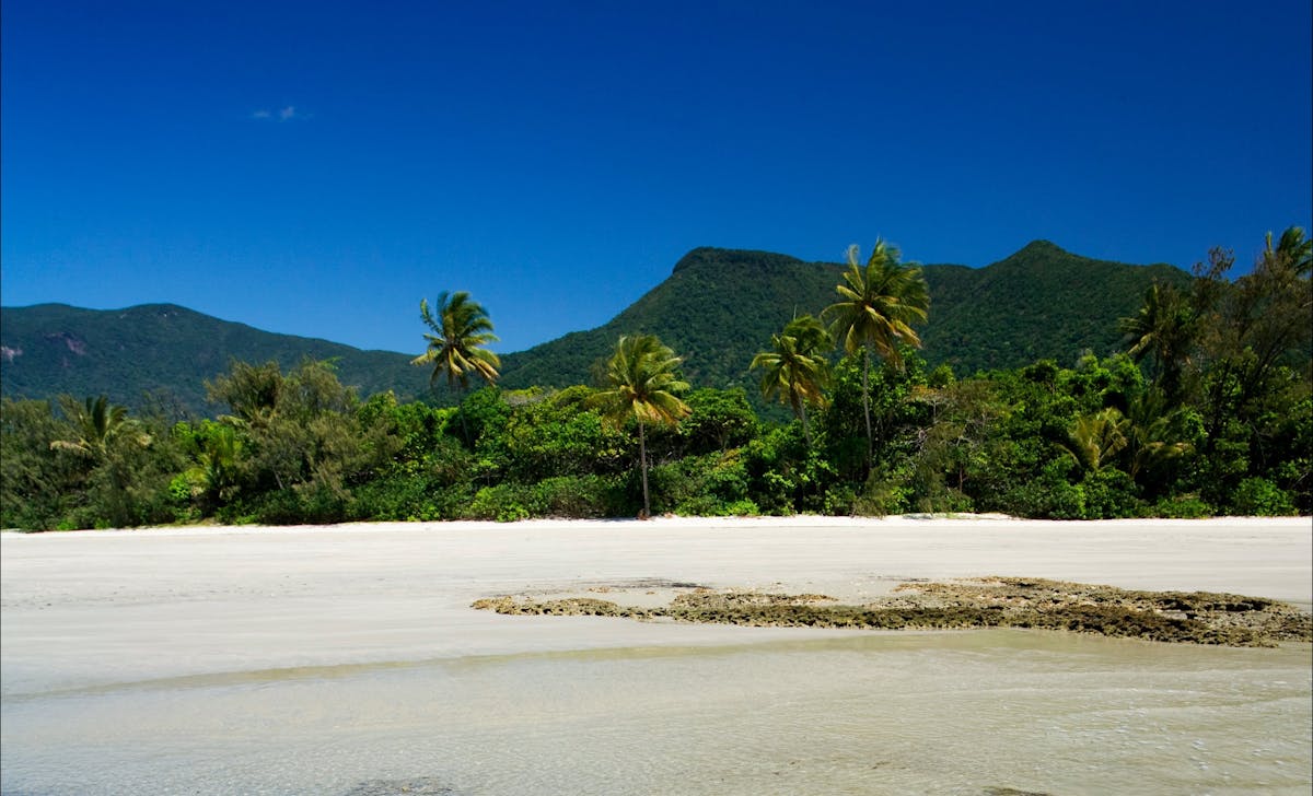 Cow Bay, Cape Tribulation