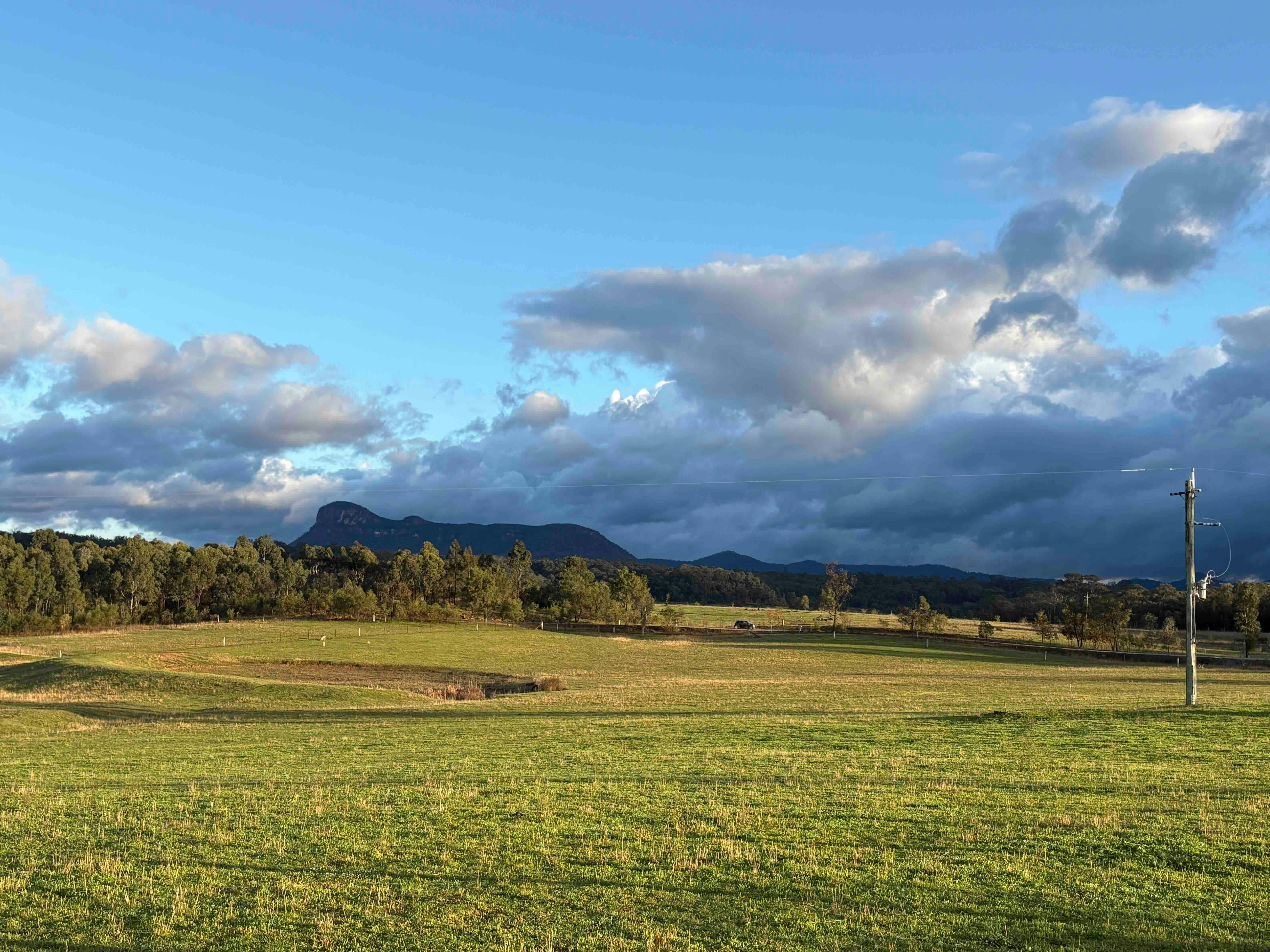 遠くに山々が見える牧草地