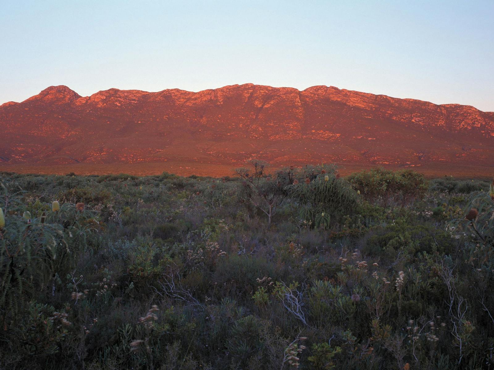 Cape Arid National Park