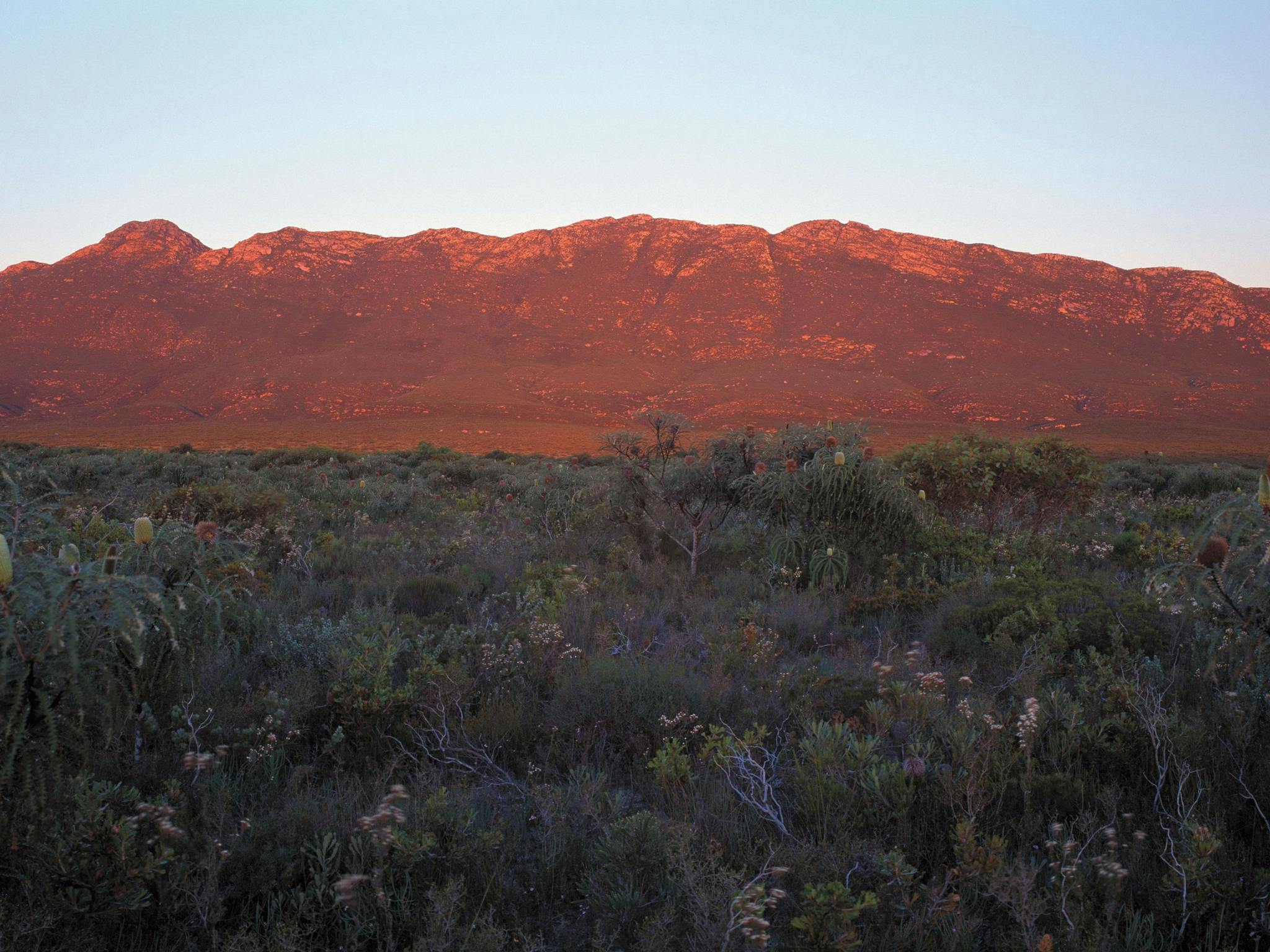 Cape Arid National Park, Esperance, Western Australia