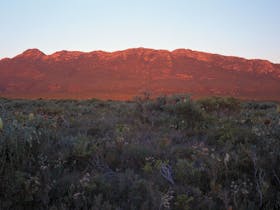 Cape Arid National Park