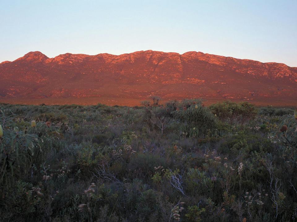Cape Arid National Park