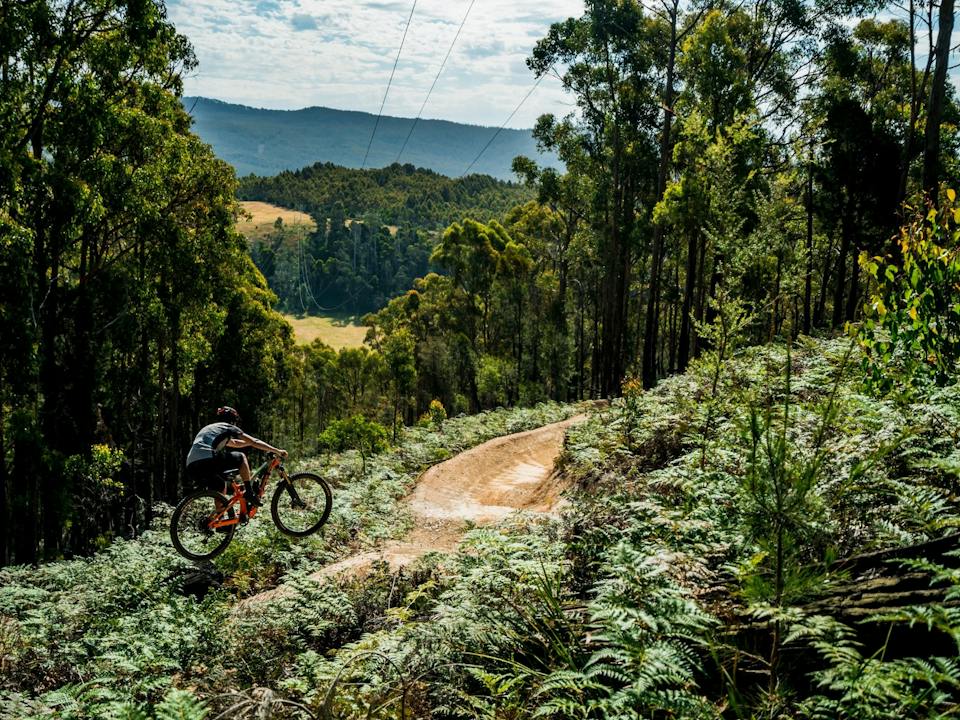 Latrobe, Tasmania photo
