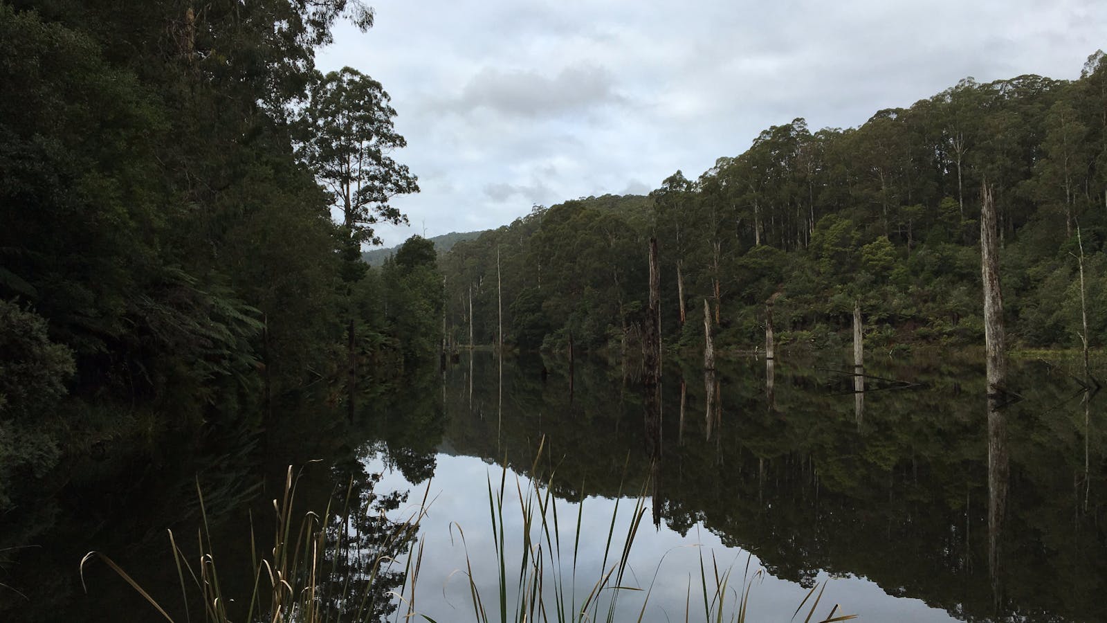 Lake Elizabeth