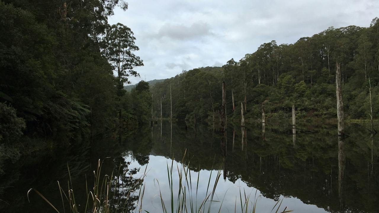 Lake Elizabeth