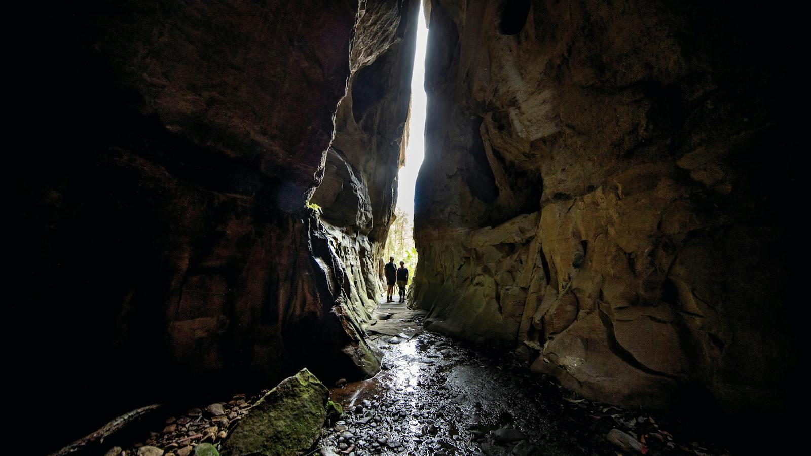 Carnarvon Gorge