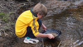 Gold Panning