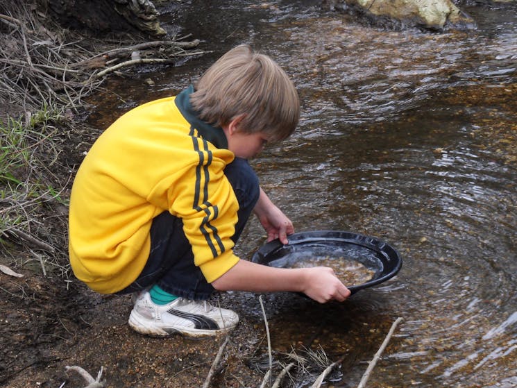 Gold Panning