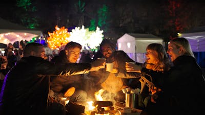 Group of friends cheering with mulled wine around fire pit