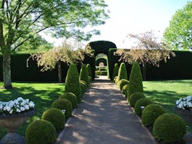 Fifth Chapter Estate Garden