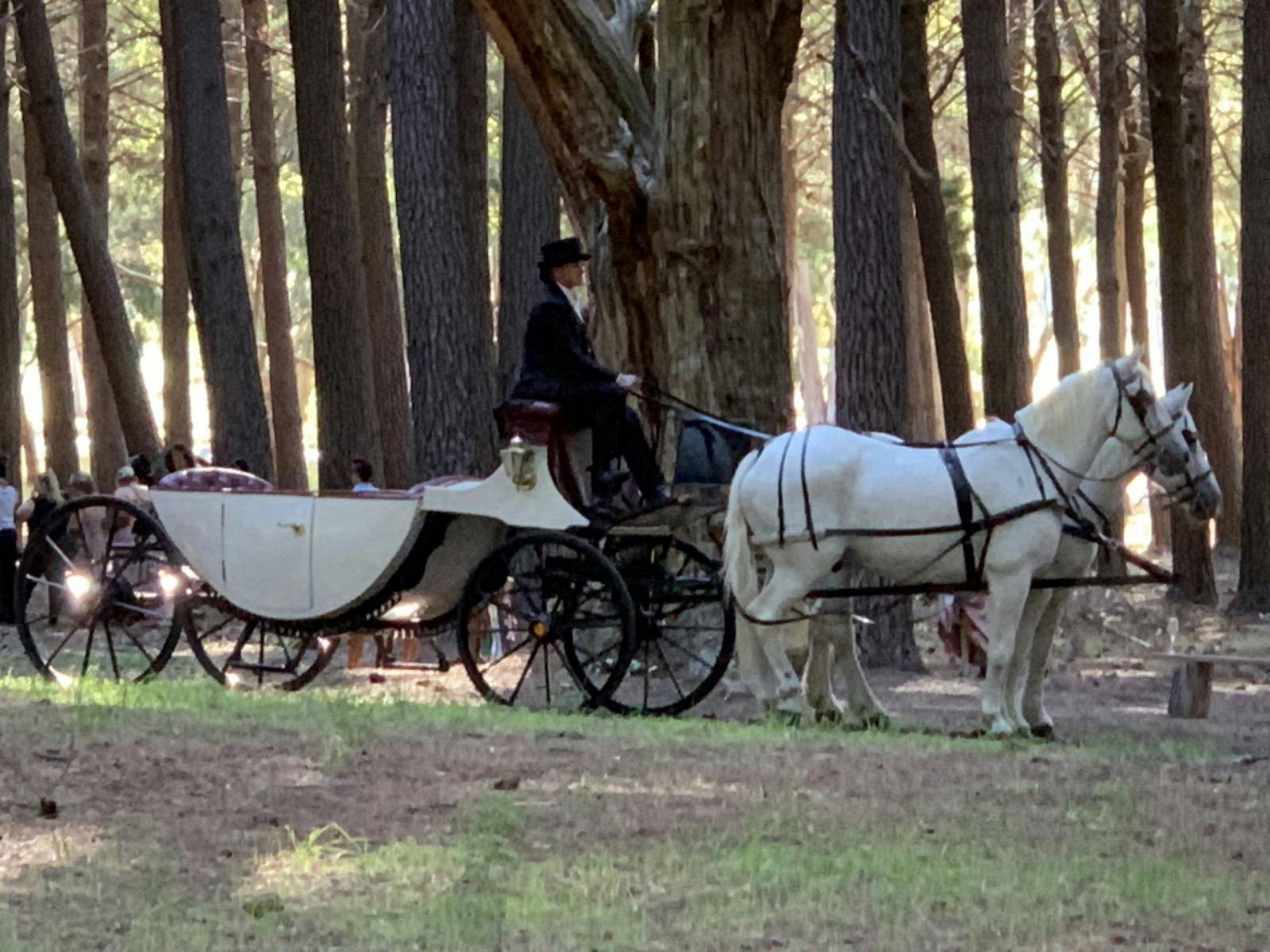 Greys and Landeau enhance the magic of Burbrook Forest, in Kuitpo