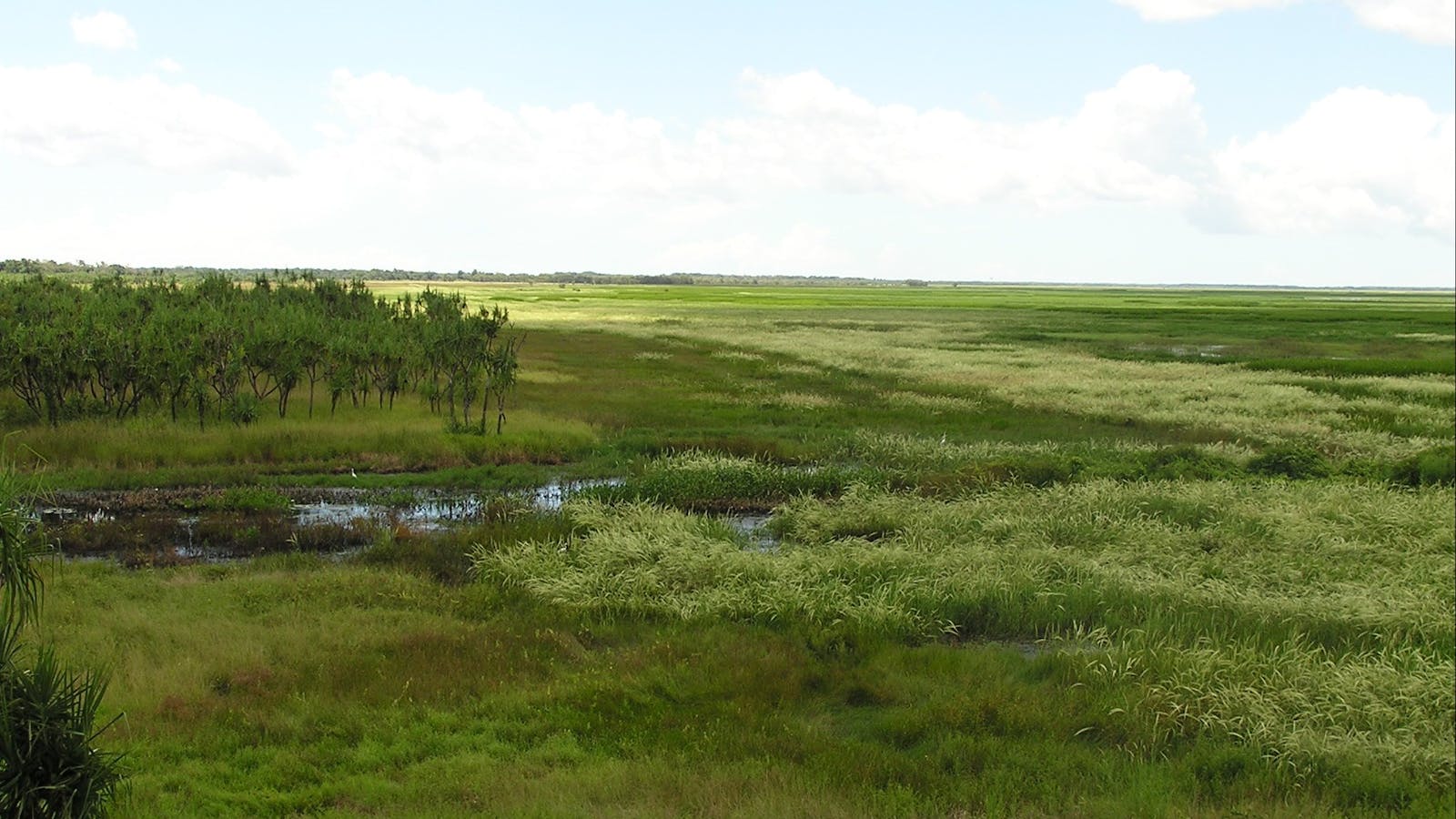 Fogg Dam Conservation Reserve