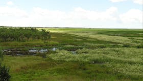 Fogg Dam Conservation Reserve