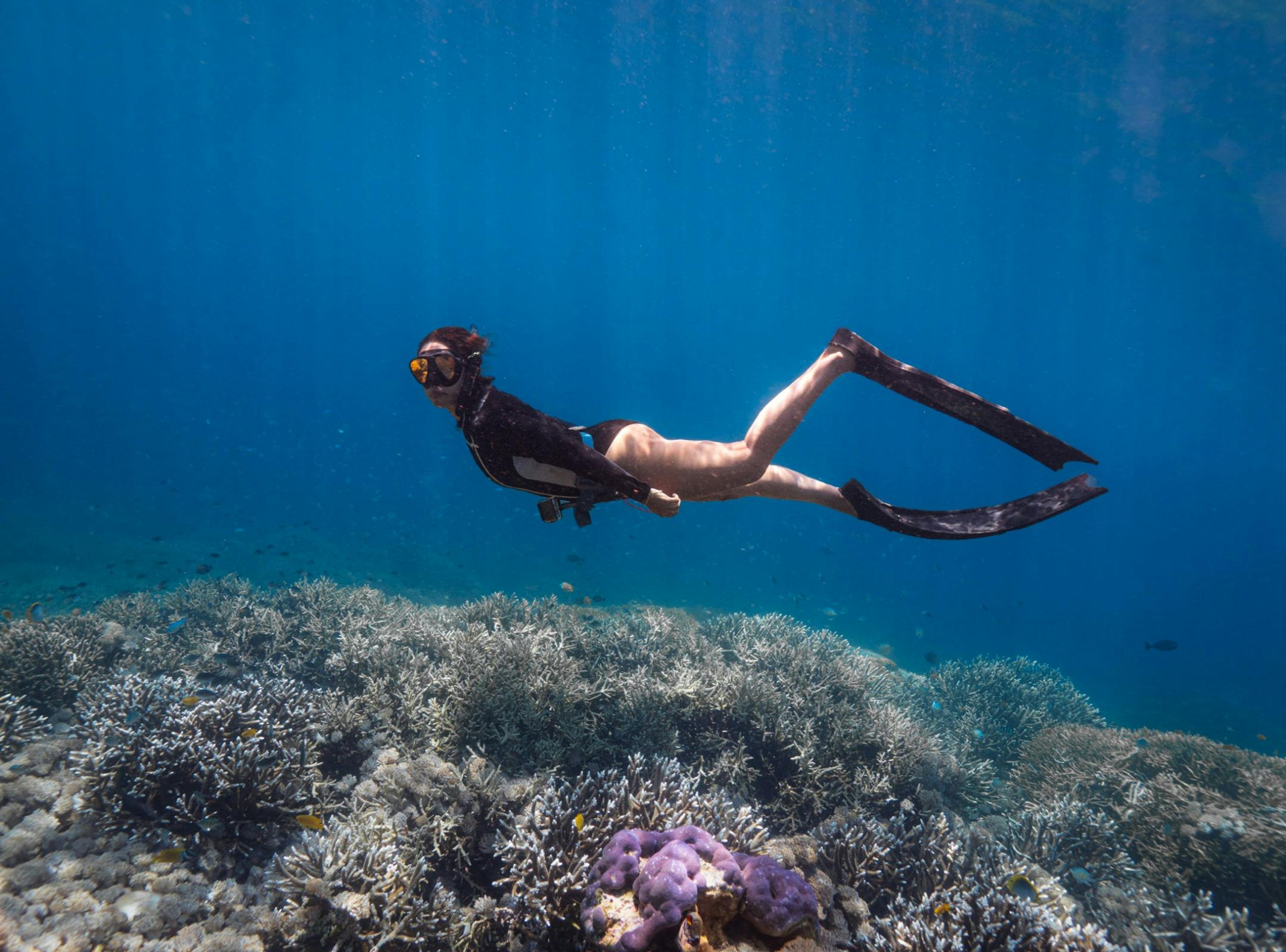 Maldives Freediving Liveaboard