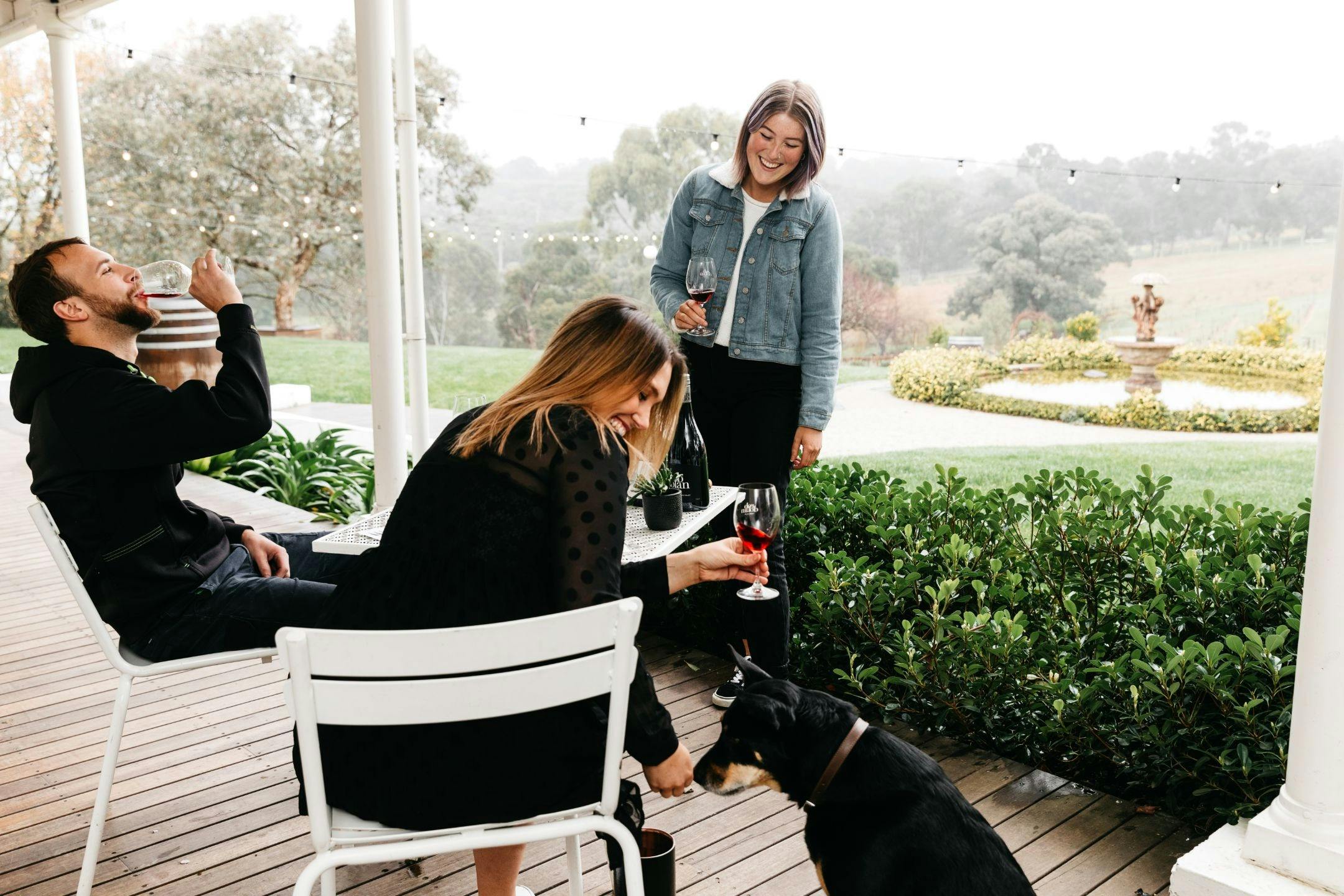 Wine tasting and dog friendly