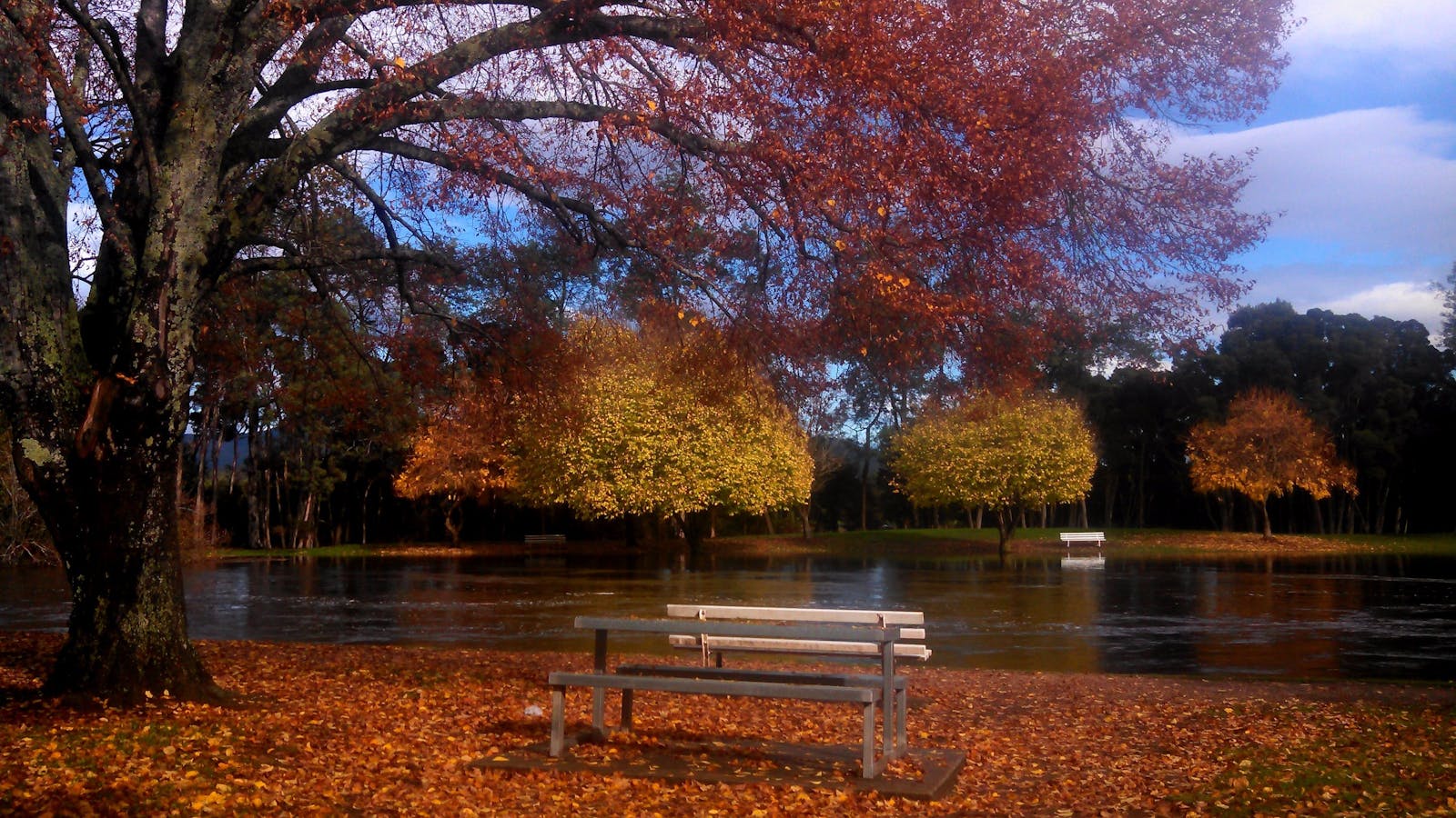 Bells Parade Reserve