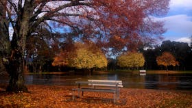 Bells Parade Reserve