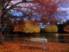 Bells Parade Reserve thumbnail