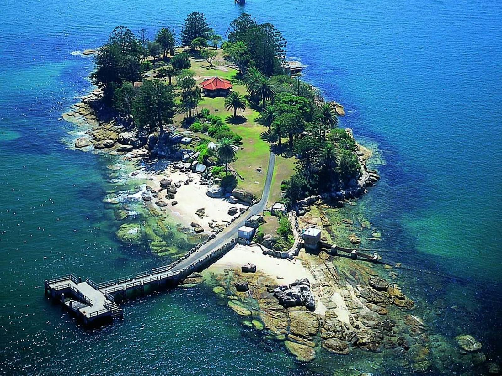 シャークアイランド