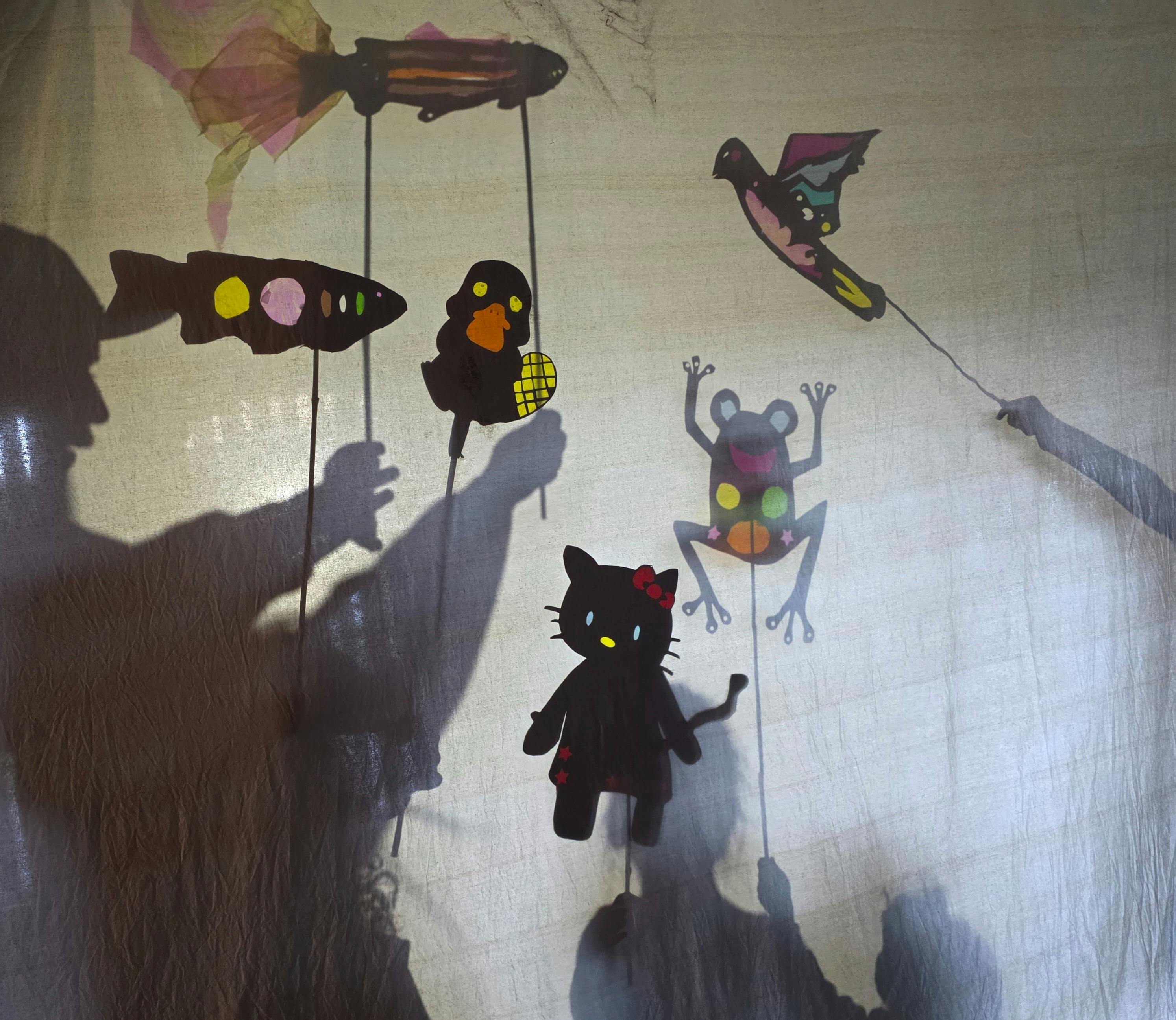 Shadow Lab Workshop. Mary French