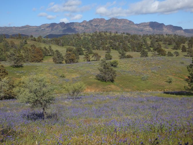 3 Day Tour Discover Central Flinders