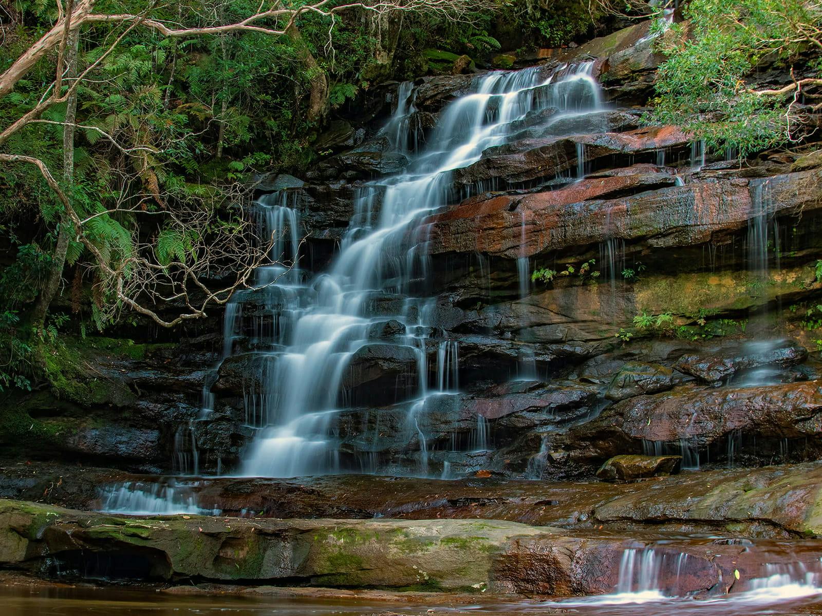 A silky long-exposure image of a cascading waterfall surrounded by lush Australian rainforest.