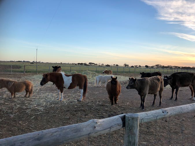 Tarnasey Farm Pas Place