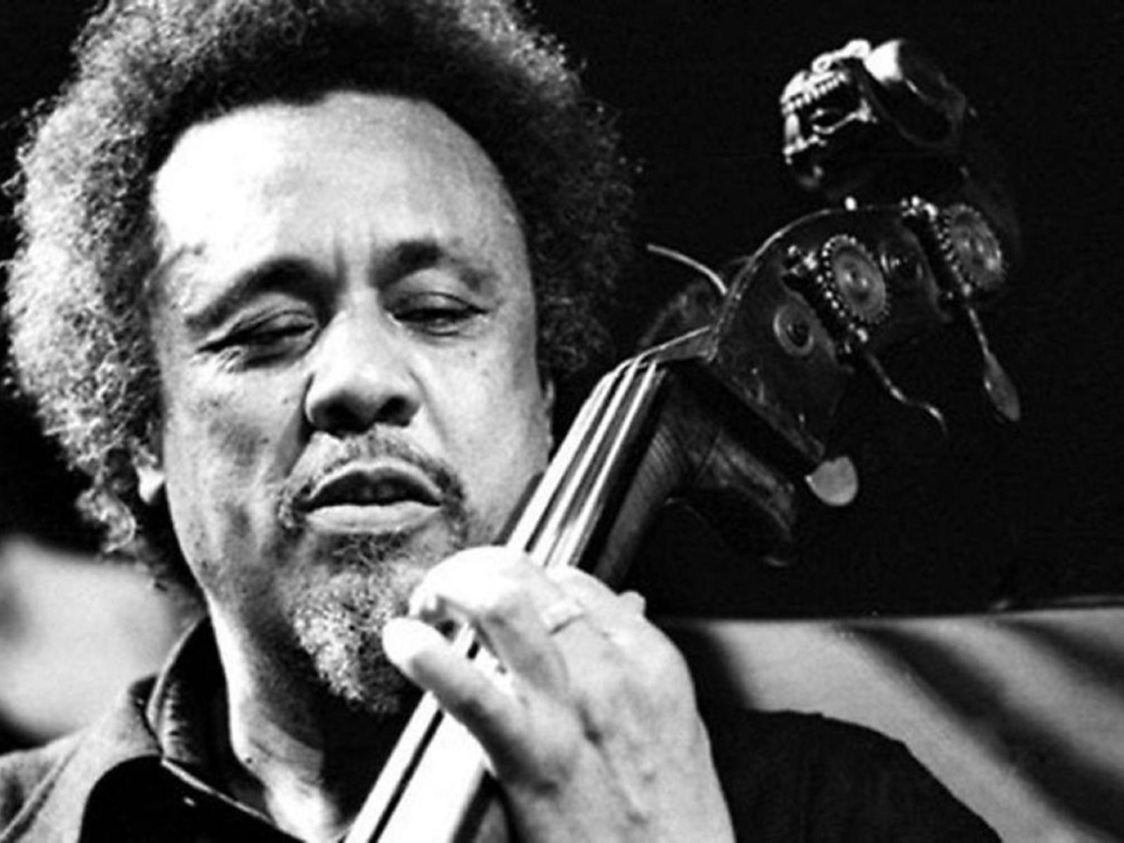 Image for Vivid Sydney: Mingus Amongst Us