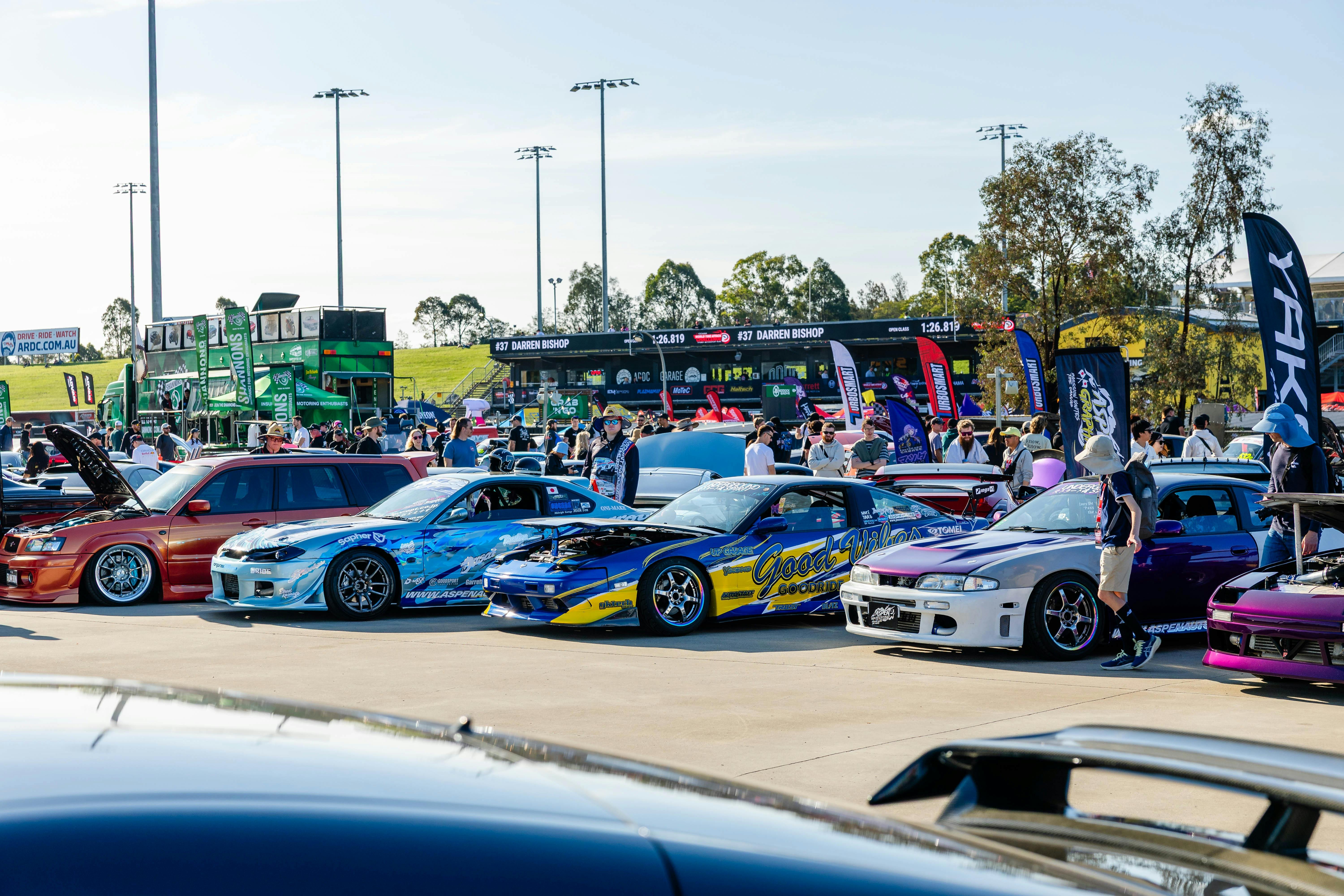 StylizeD Show and Shine